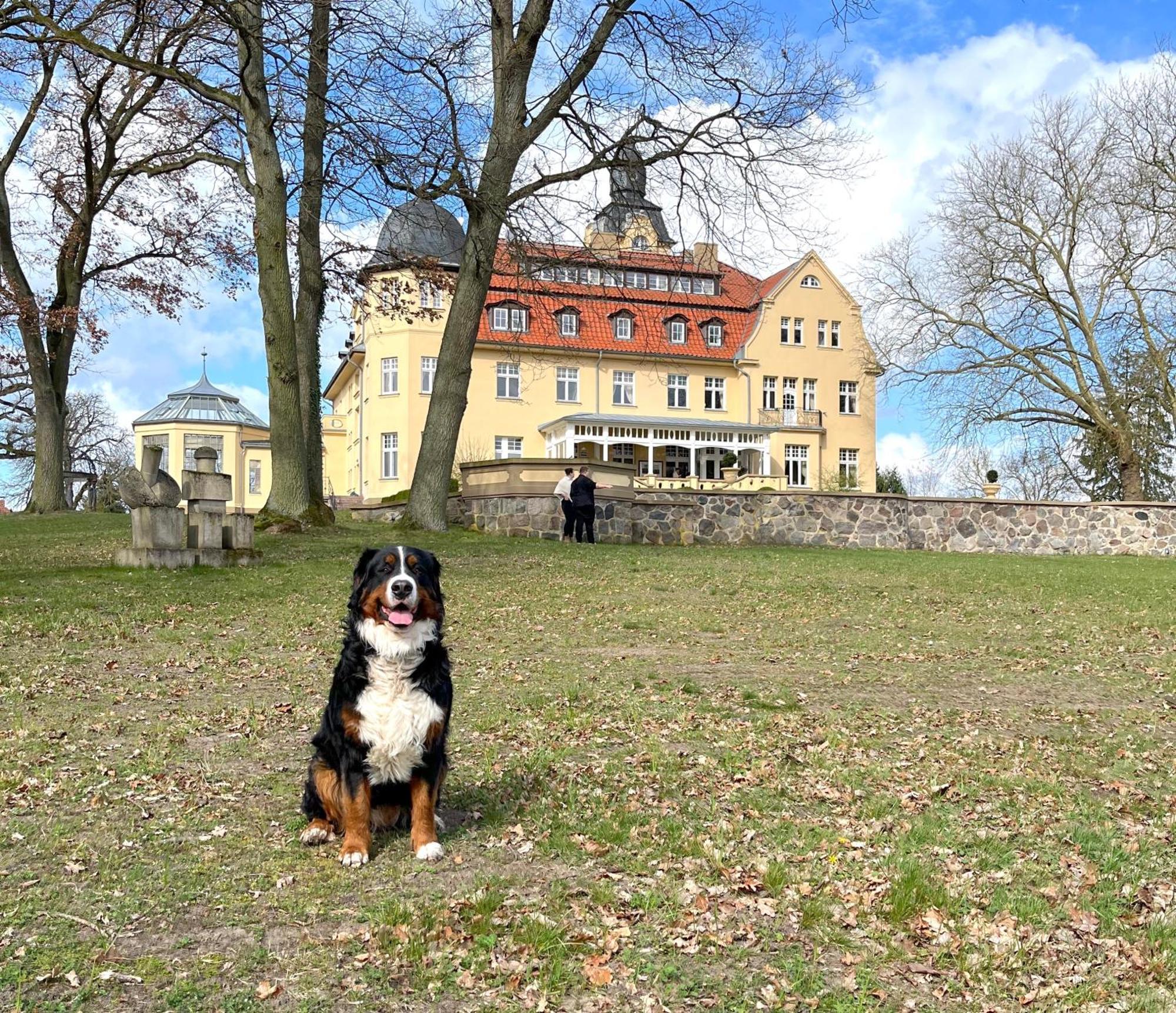 Bernsteinschloss 벤도르프 외부 사진
